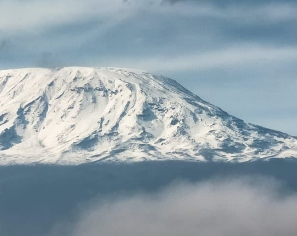 Kilimanjaro Gallery