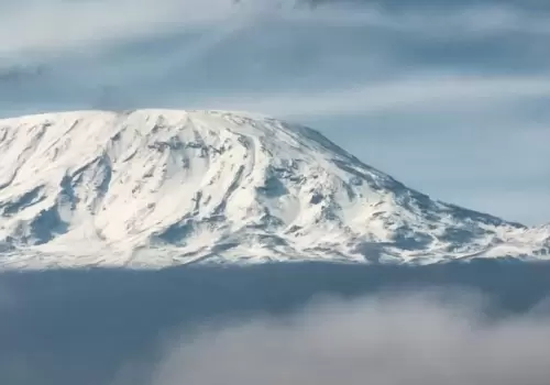 Kilimanjaro Gallery